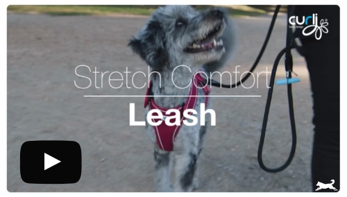 Curli Correa Stretch Confort Video Lobitos