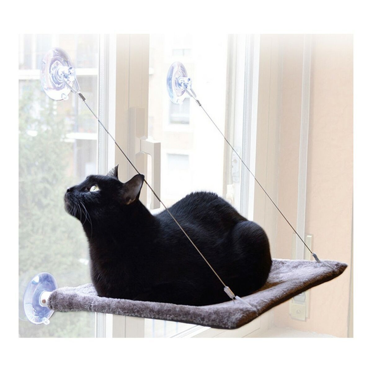 Hamaca de ventana para gatos GRANDE Bobby - Cat-oh pet shop