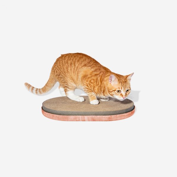 zeedog-rascador para gatos Cat Scratcher Zee.Cat Lobitos&Co