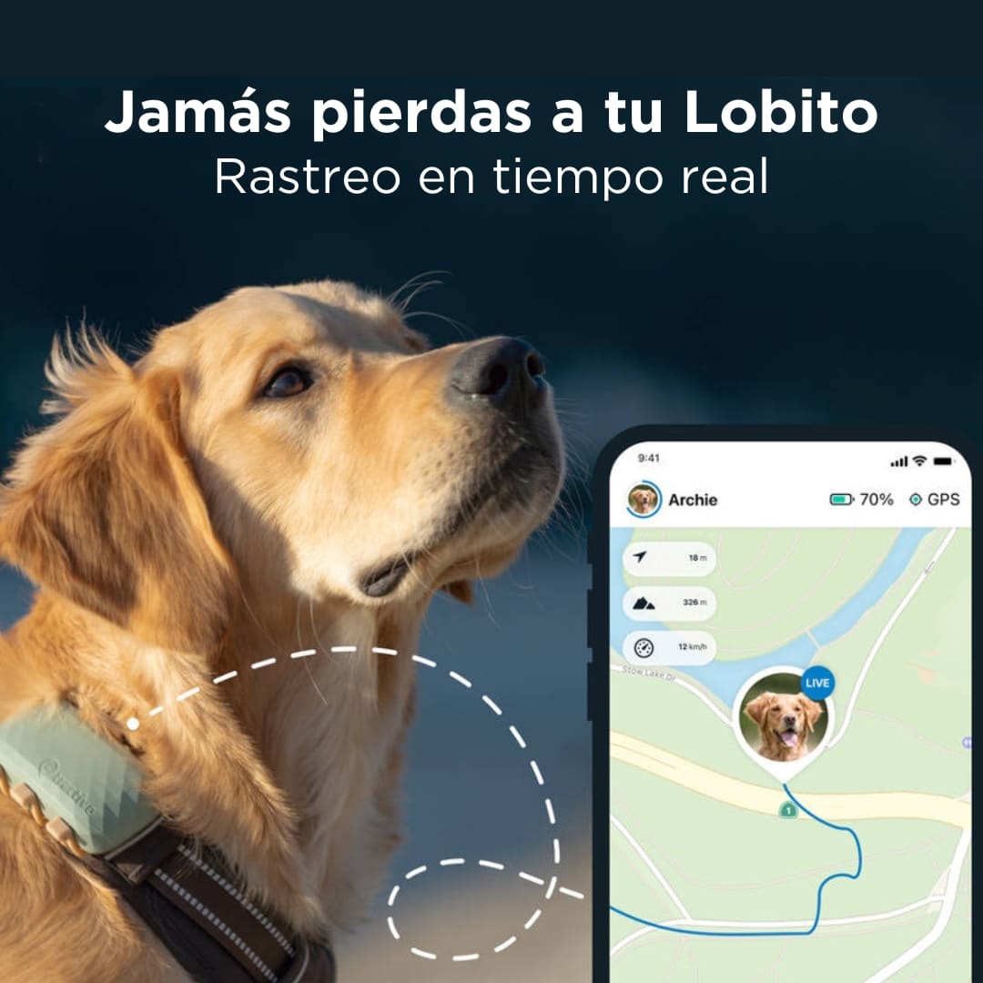 Localizador GPS para Perros TRACTIVE XL (Verde)