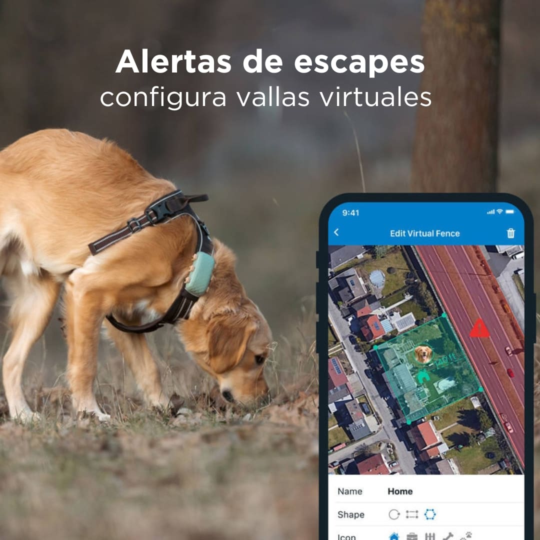 Collar GPS Tractive para perros por 29 euros
