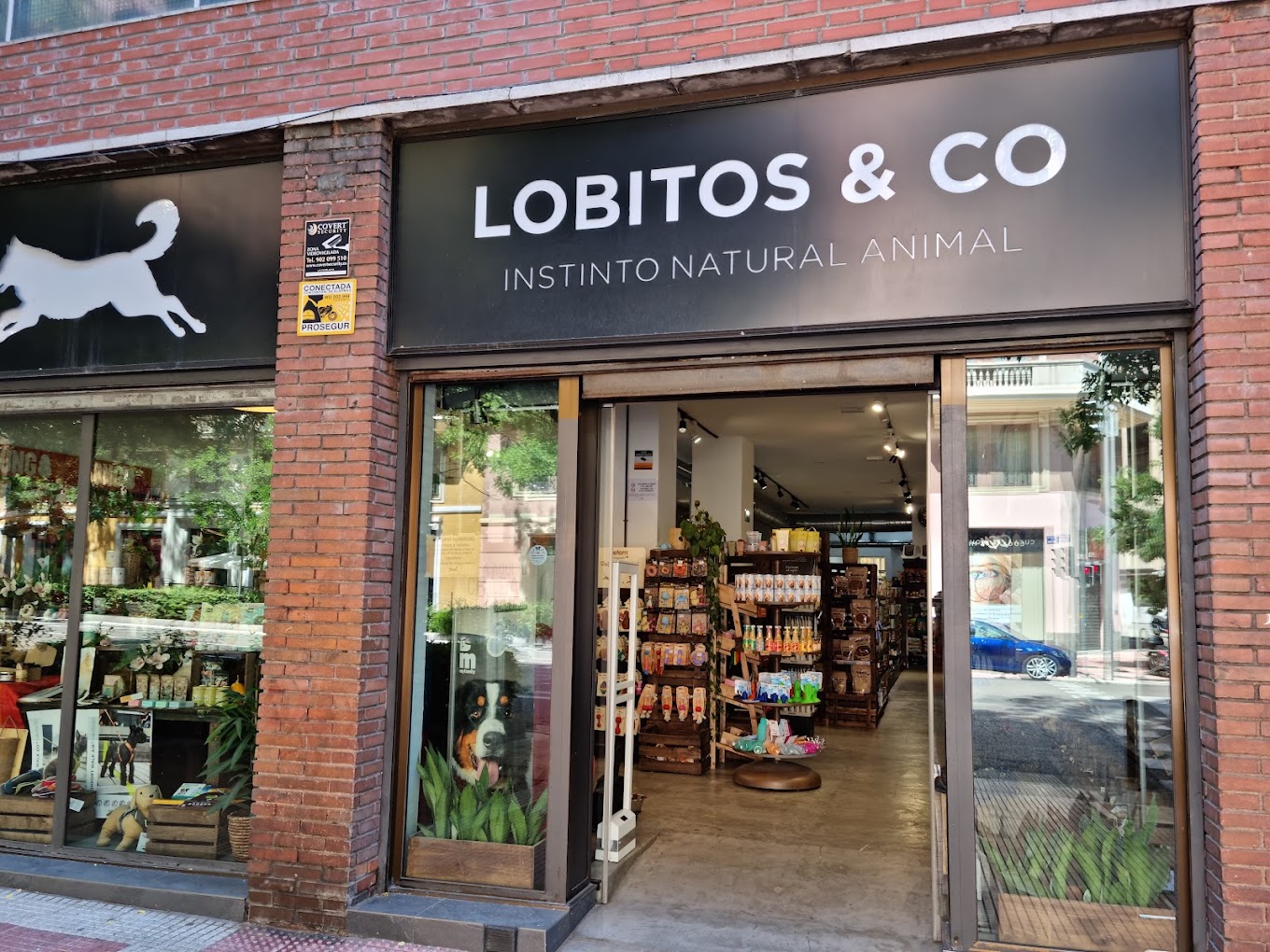 Lobitos&Co