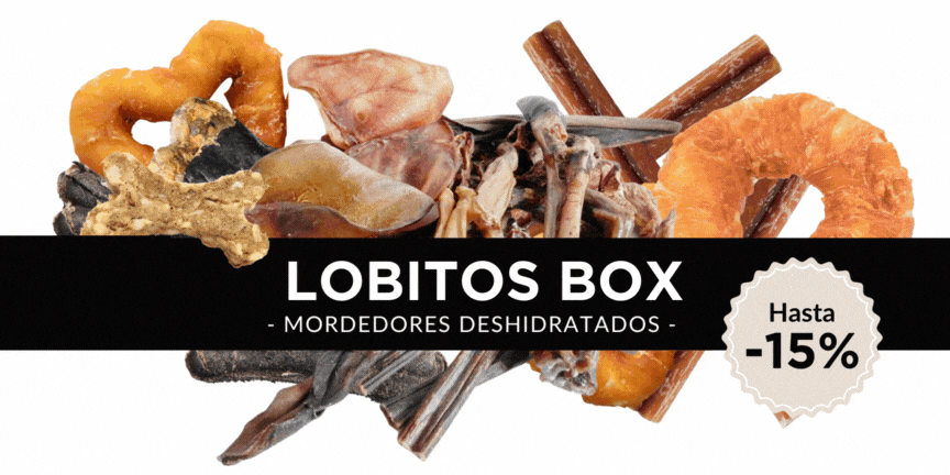 Banner lobitos box